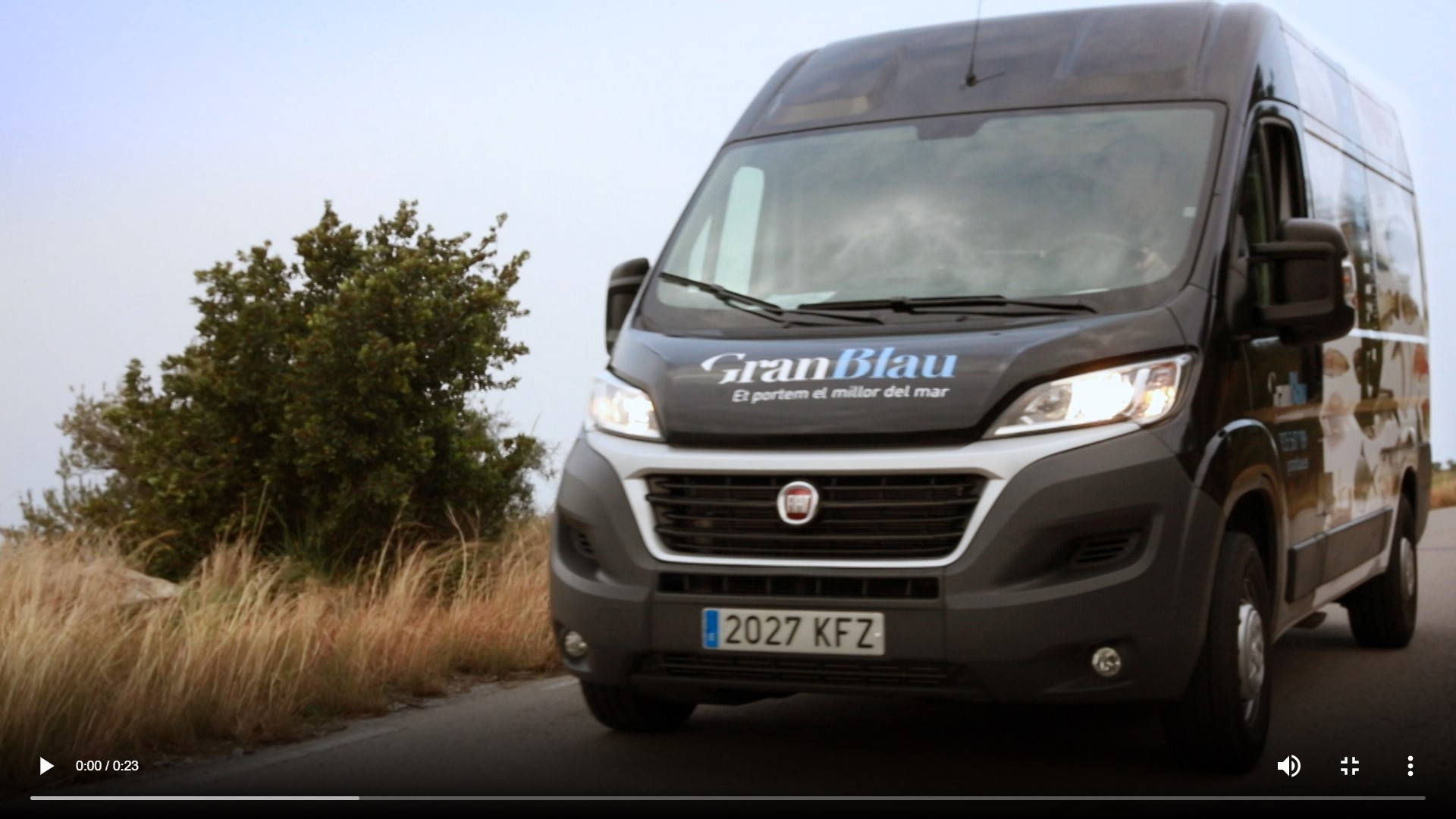 GranBlau-pescado-fresco-entregas-domicilio